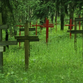 Powiększ obraz: Las w Kuropatach na Białorusi kryje prochy kilkuset tysięcy zamordowanych przez NKWD